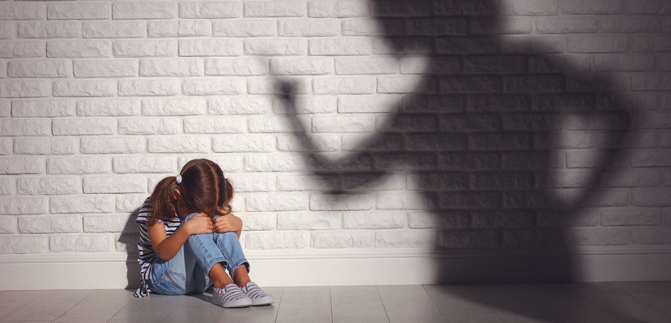 Collateral Consequences of Domestic Violence Convictions