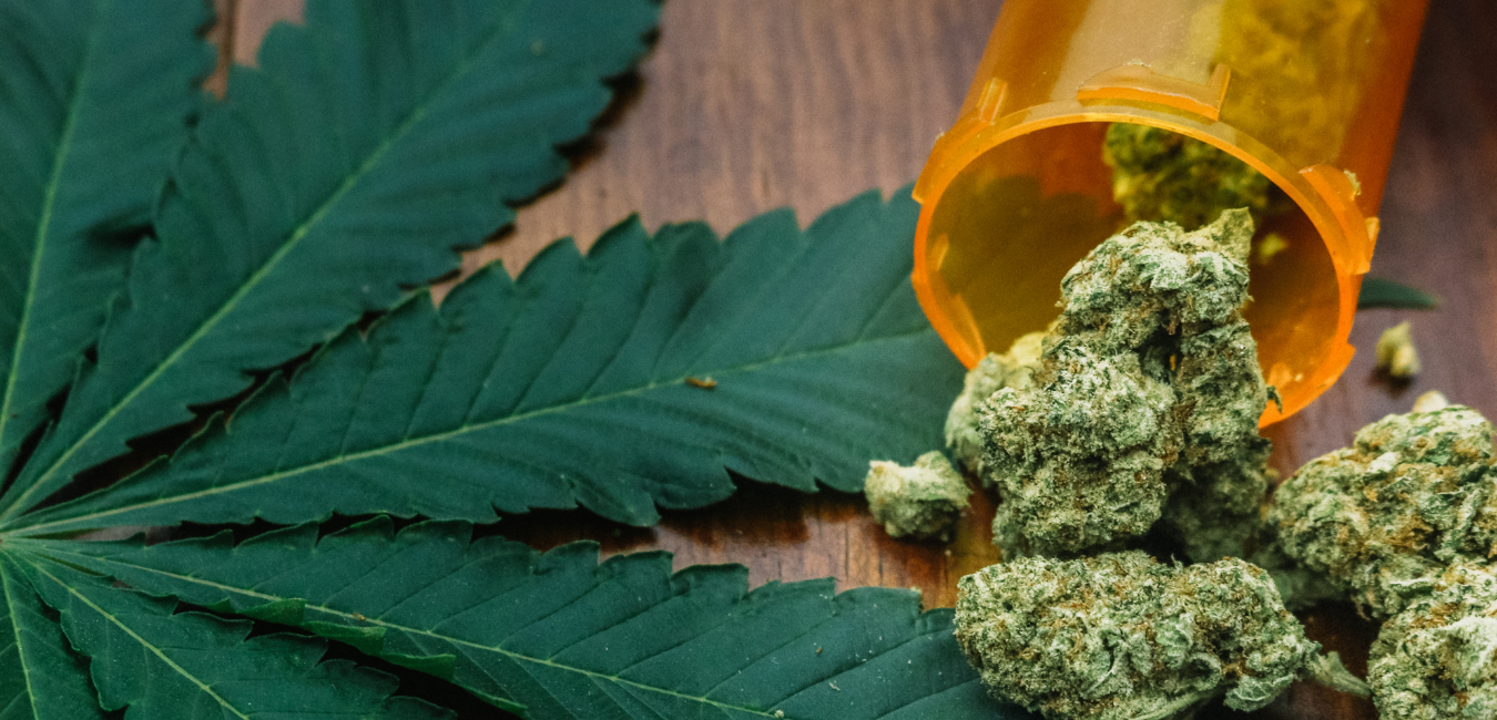 Marijuana FAQ